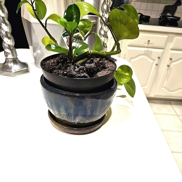 Blue & Tan Ceramic Planter With Saucer and Drainage Holes Preowned 6"x6"x4" - Picture 1 of 10